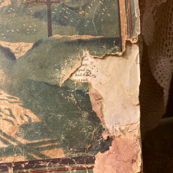 Vintage Fortune Magazine, January 1934 - Damage, Art and Ads - Picture 7 of 15